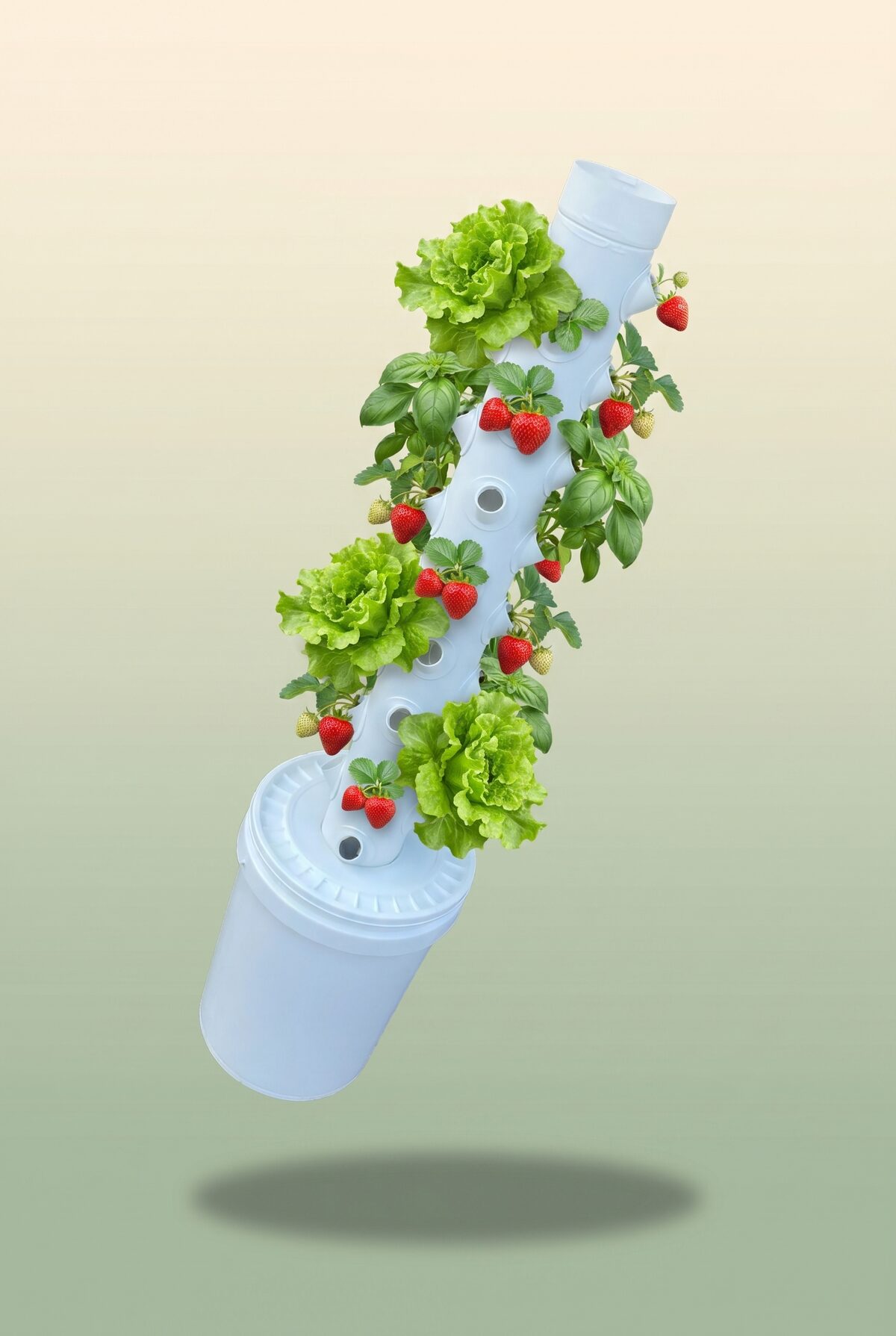 Before and after hydroponic grow results
